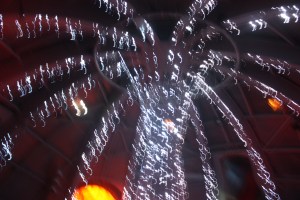 IMG_5806