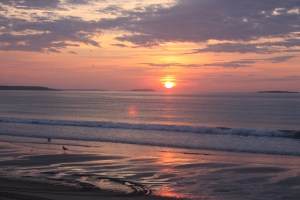 These photos were taken August 14, 2012.