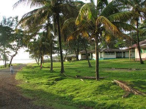 All our photos of Liberia are in a box in the basement, so I looked for something on the net. This 2014  shot of the ELWA campus, where we lived, was taken by Alan Shea, who I remember as a student back then. Much of the ELWA campus was destroyed during the civil war and has since been rebuilt. 