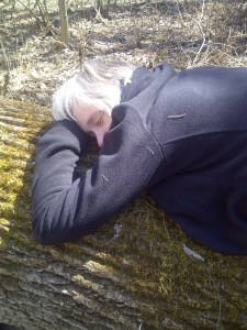 The tree trunk is nice and mossy - a good place for a nap.