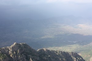 IMG_9846