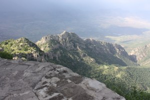 IMG_9849