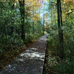 IMG_20151012_145402_hdr