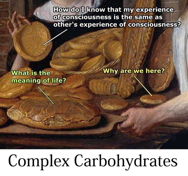 13516271_954600564652132_4607434466436283526_n