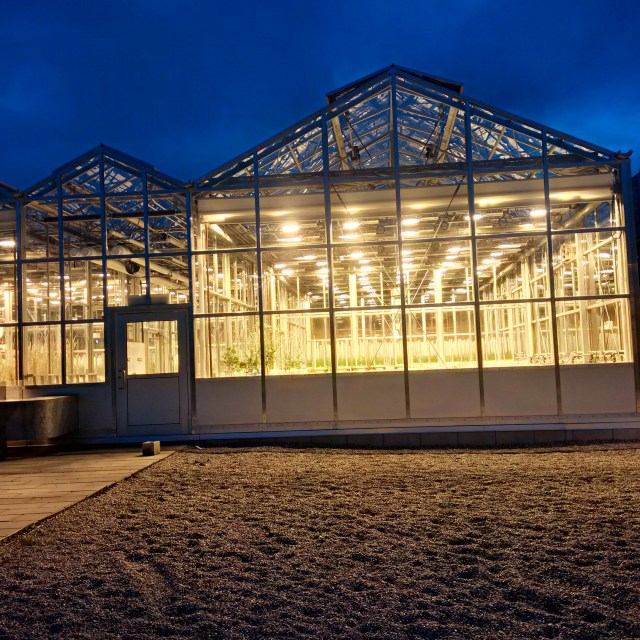 img_20161030_180211_hdr