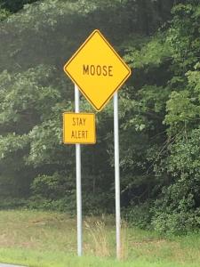 Moose sign