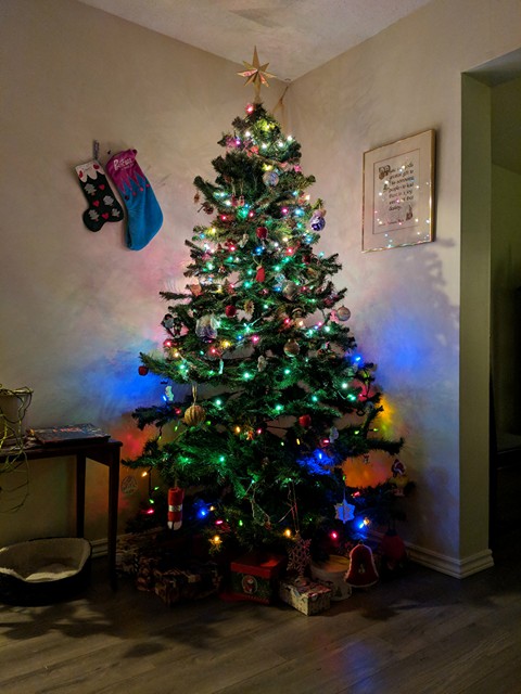 23899151_10159726297290046_509663171_n