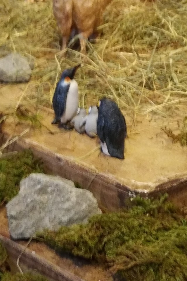 IMG_20171223_1159203