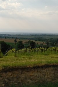 IMG_20180505_1757565