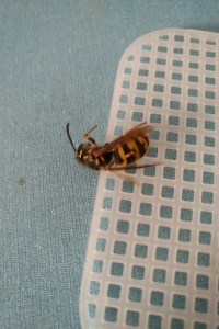 IMG_20180506_0921251