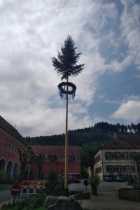 IMG_20180511_1231089