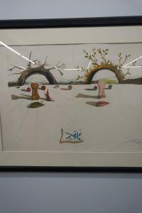 IMG_20180707_1529598