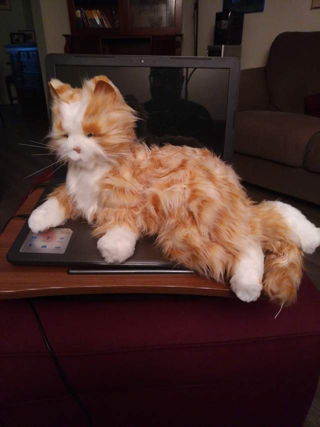 IMG_20180913_2200594 (1).jpg