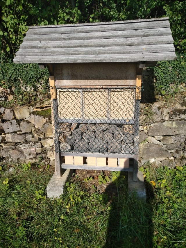 IMG_20180924_1619436 (1)