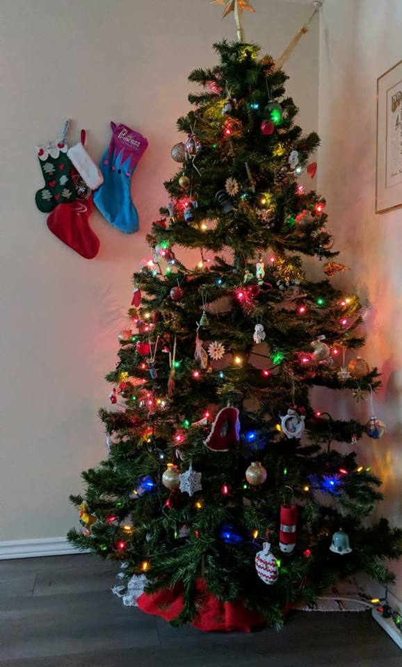 47497785_351956338684902_2110209164436307968_n