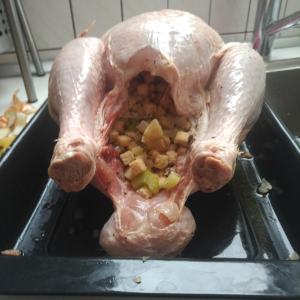 IMG_20181225_1346335