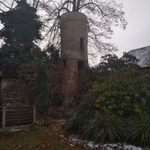 img_20190123_1544206