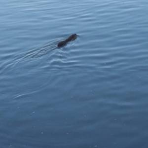 IMG_20190329_1658502