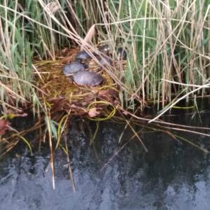 IMG_20190510_1717327