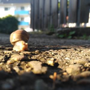 IMG_20190606_1911482