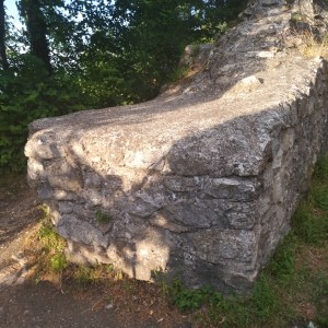 IMG_20190707_1951284 (1)