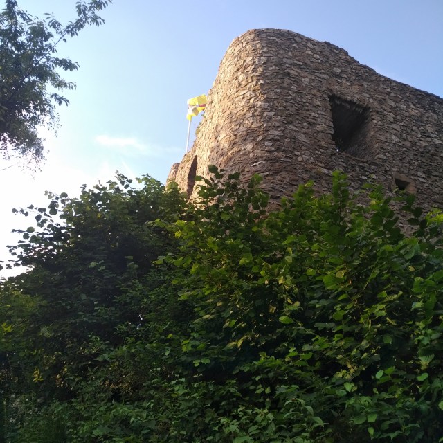 IMG_20190707_1954417