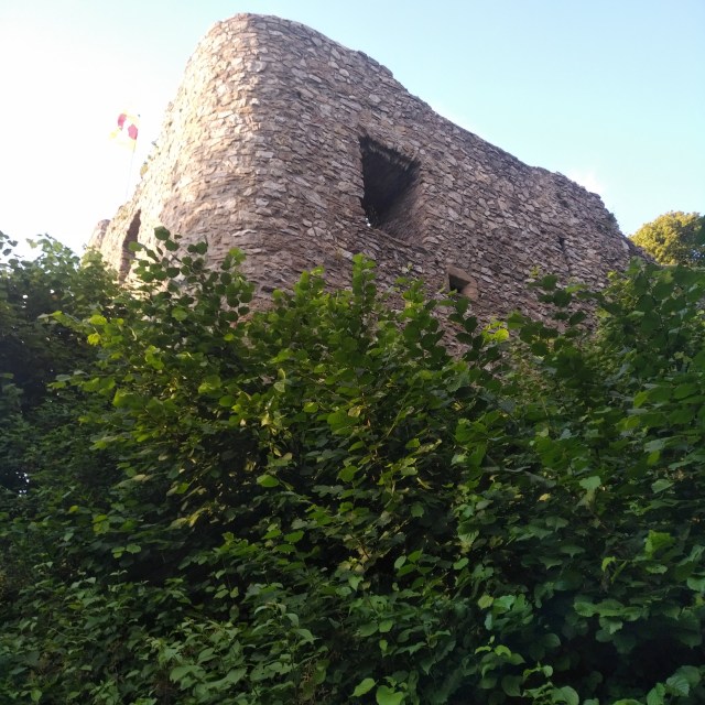 IMG_20190707_1954442