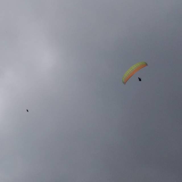 IMG_20190713_1406329