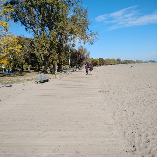 IMG_20191020_1452053