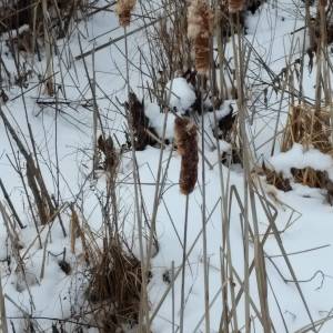 IMG_20200102_1508526