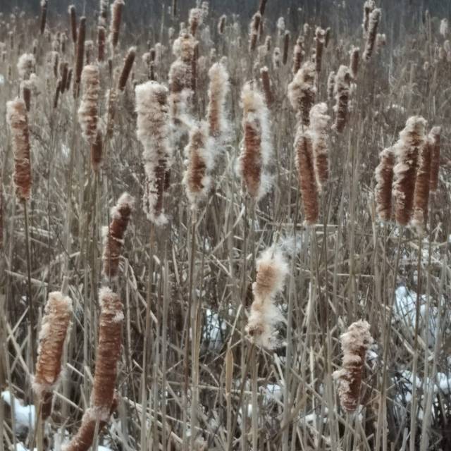 IMG_20200102_1509335