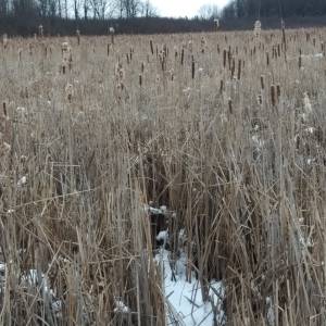 IMG_20200102_1525026