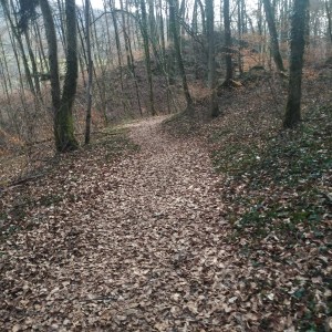 IMG_20200208_1319207