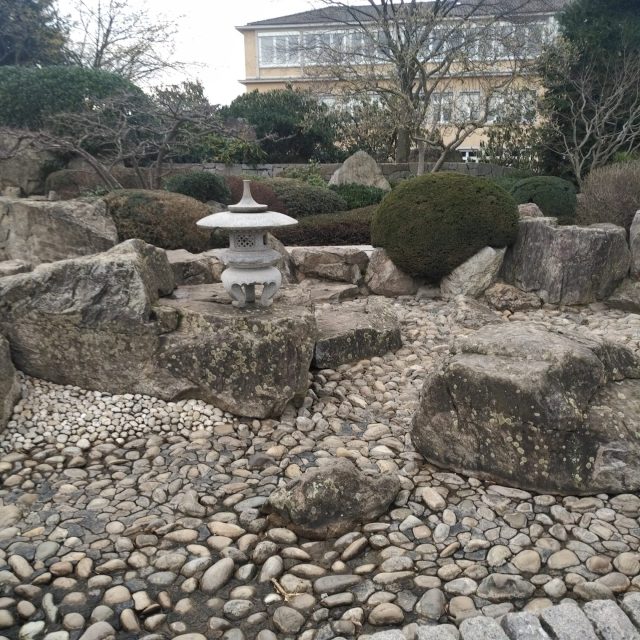 IMG_20200223_1513552