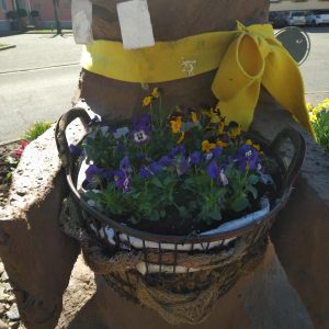 IMG_20200323_1334285