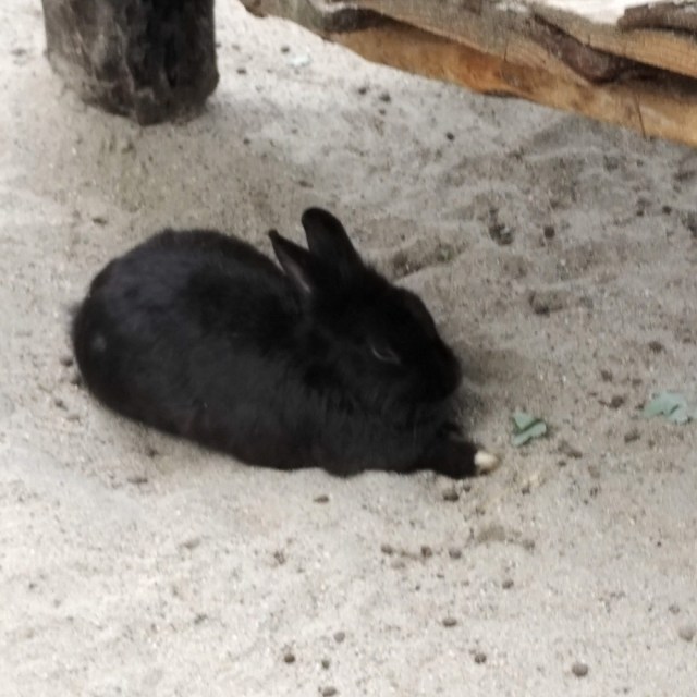 IMG_20200522_1357111