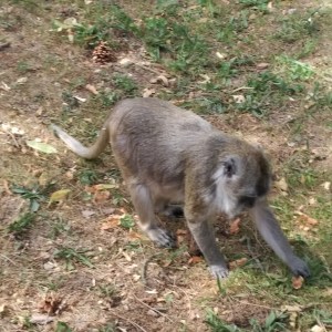 IMG_20200522_1404338