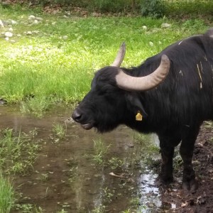 IMG_20200522_1410118