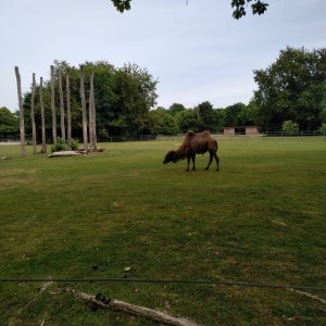 IMG_20200522_1433142