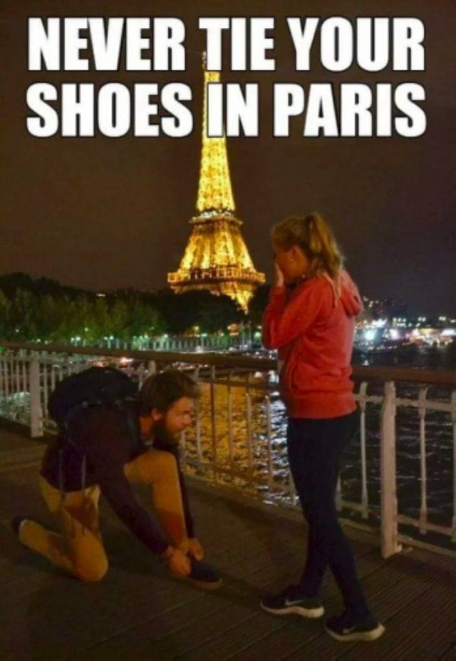 8ff386fd658dc7c0197646b0c8851690