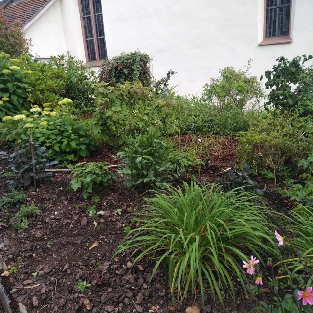 IMG_20200620_1908011