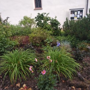 IMG_20200620_1908036