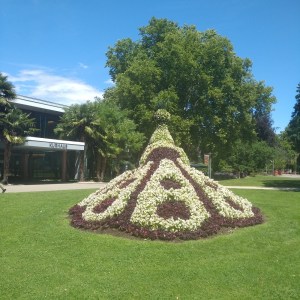 IMG_20200628_1403256