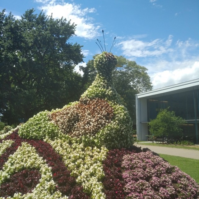 IMG_20200628_1404038