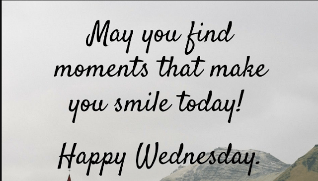 33c2878134854dfaef00b766e57b95ee