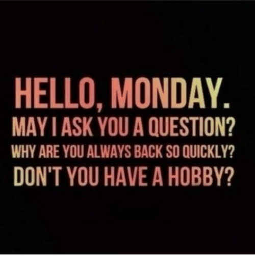 hello-monday-may-i-ask-you-a-question-why-are-52742379