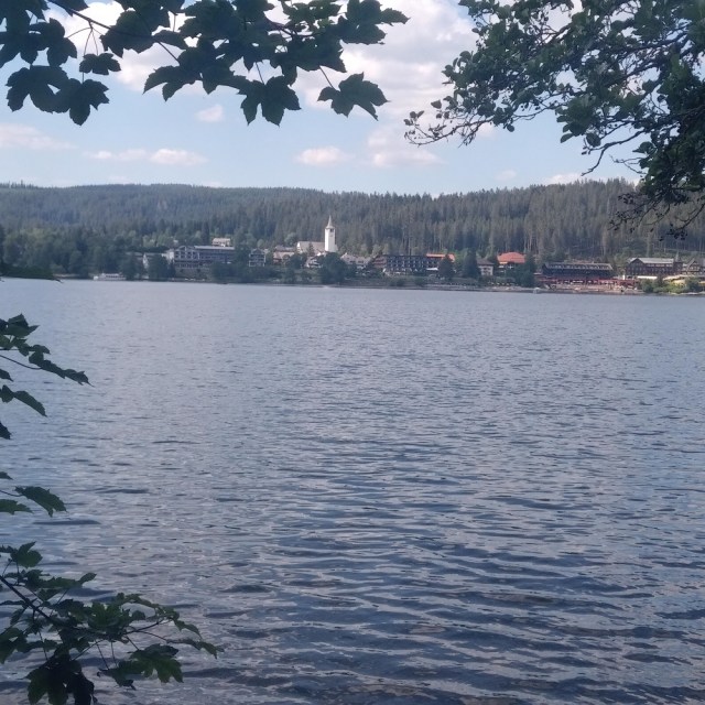 IMG_20200623_1639193