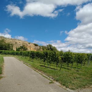 IMG_20200705_1554028