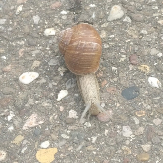 IMG_20200715_1707128